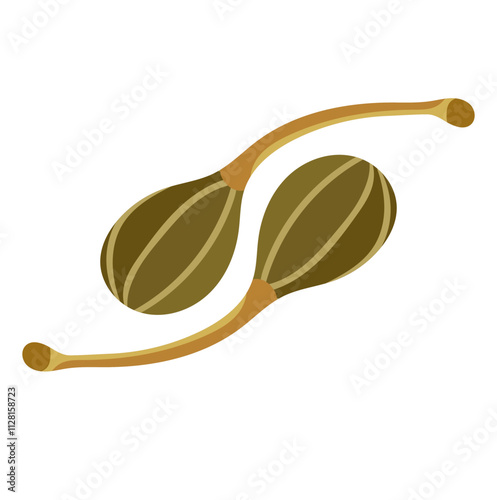 Pickled Capers Fruit Illustration Isolated on White Background