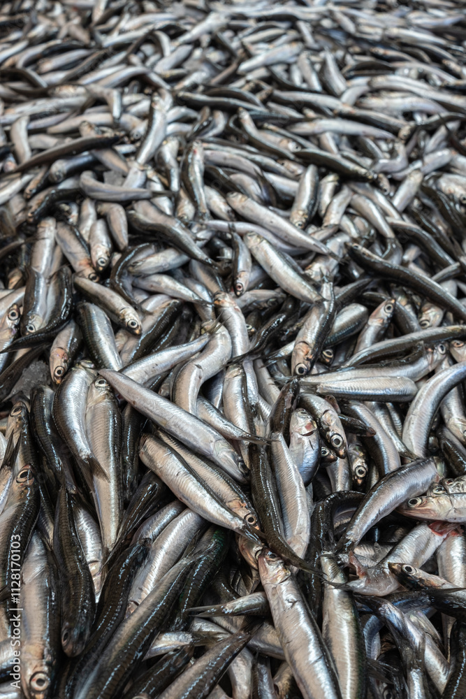 anchovy. hamsi. fresh fish at the market, anchovy. hamsi. fresh fish at the market,