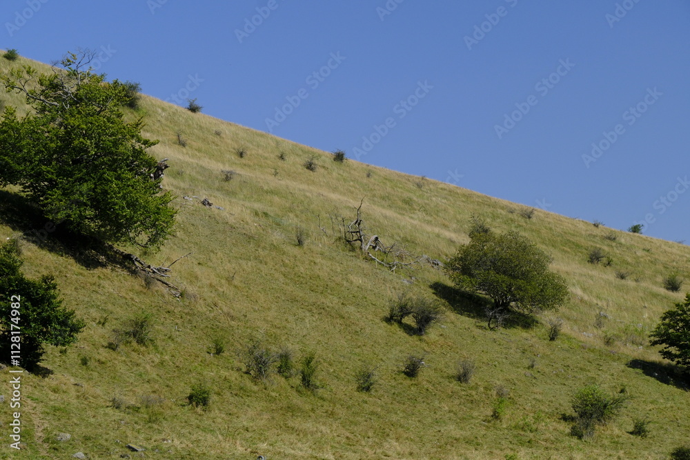 Fototapeta premium Landschaft am Himmeldunkberg im Bioshärenreservat Rhön zwischen Hessischer Rhön und Bayerischer Rhön, Deutschland