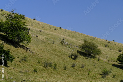 Landschaft am Himmeldunkberg im Bioshärenreservat Rhön zwischen Hessischer Rhön und Bayerischer Rhön, Deutschland photo