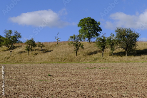 Naturschutzgebiet Haarberg zwischen den Weinorten Euerdorf und Wirmsthal im Abendlicht, Landkreis Bad Kissingen, Franken, Unterfranken, Bayern, Deutschland photo