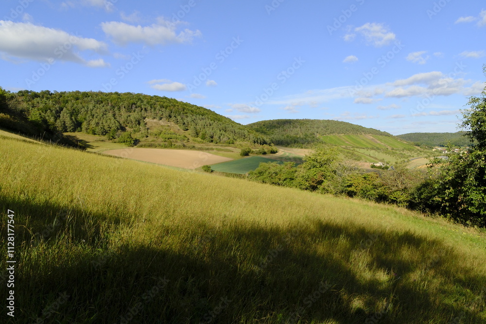 Fototapeta premium Naturschutzgebiet Haarberg zwischen den Weinorten Euerdorf und Wirmsthal im Abendlicht, Landkreis Bad Kissingen, Franken, Unterfranken, Bayern, Deutschland