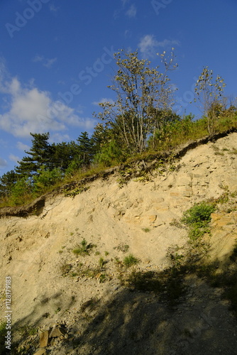 Naturschutzgebiet Haarberg zwischen den Weinorten Euerdorf und Wirmsthal im Abendlicht, Landkreis Bad Kissingen, Franken, Unterfranken, Bayern, Deutschland