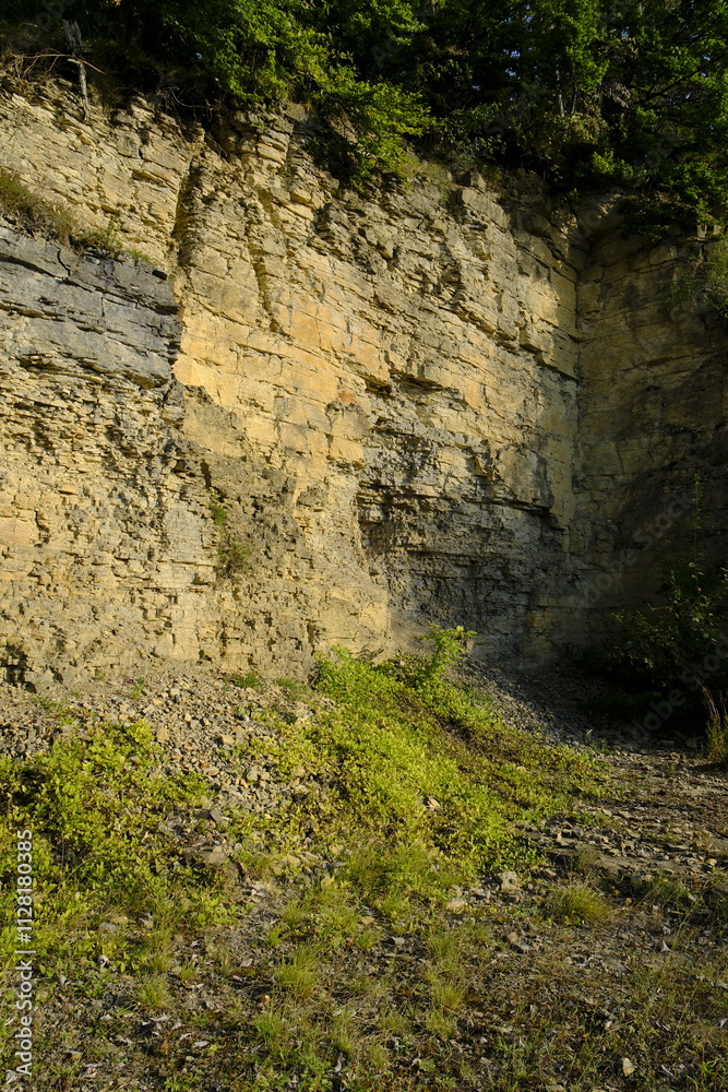 Fototapeta premium Naturschutzgebiet Haarberg zwischen den Weinorten Euerdorf und Wirmsthal im Abendlicht, Landkreis Bad Kissingen, Franken, Unterfranken, Bayern, Deutschland