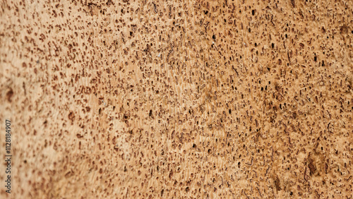 Texture of cork tree bark, peeled cork strips