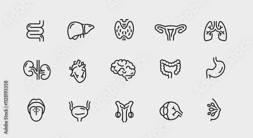 Human organs icons. Set of 15 human organs trendy minimal icons. Example: kidney, spine, lungs, stomach, heart icon. Design signs for web page, mobile app, packaging design. Vector illustration.