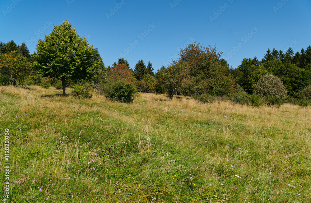 Landschaft am Himmeldunkberg im Bioshärenreservat Rhön zwischen Hessischer Rhön und Bayerischer Rhön, Deutschland Landschaft am Himmeldunkberg im Bioshärenreservat Rhön zwischen Hessischer Rhön und Bayerischer Rhön, Deutschland