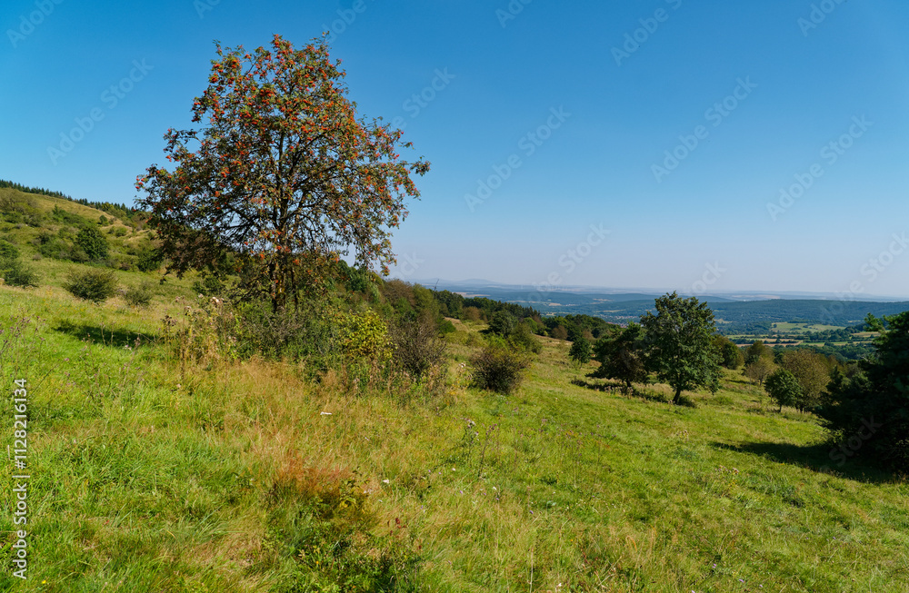 Fototapeta premium Landschaft am Rockenstein bei Oberweißenbrunn, Bioshärenreservat Rhön, Landkreis Rhön-Grabfeld, Unterfranken, Franken, Bayern, Deutschland
