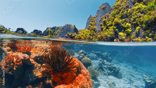 Fototapeta Naklejka Na Ścianę i Meble -  Sunlight illuminates a shallow coral reef with a tropical island in the background. Raja Ampat, Indonesia