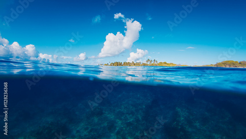 Fototapeta Naklejka Na Ścianę i Meble -  Tropical island in the Maldives, splitted above and underwater view
