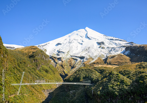 Obraz na płótnie Manganui Gorge Bridge, 100-metre-long suspension bridge on Mount Taranaki. New Zealand. w salonie
