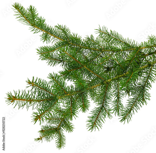 Wallpaper Mural pine branch / pine-tree twig. Spruce . fir-tree. Decoration for new year and christmas, xmas festive and holidays. Torontodigital.ca