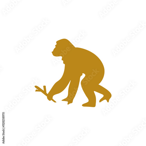 Human evolution illustration