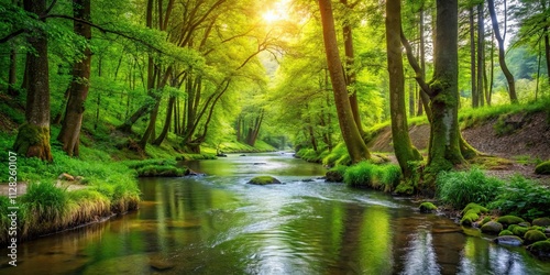 Brook flowing through lush forest with greenery on its banks, nature, stream, trees, foliage, landscape, tranquil