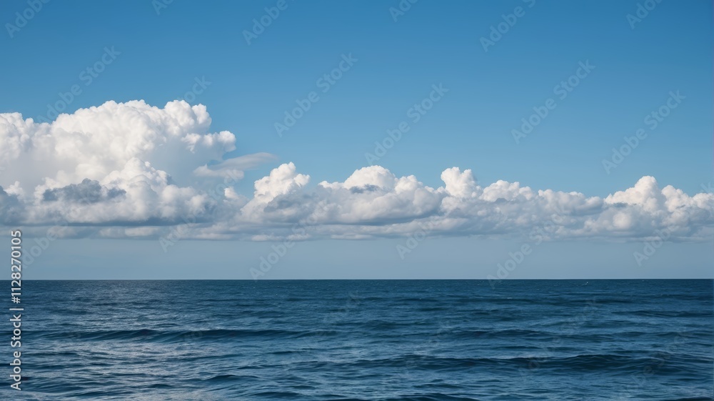 Obraz premium the water is blue