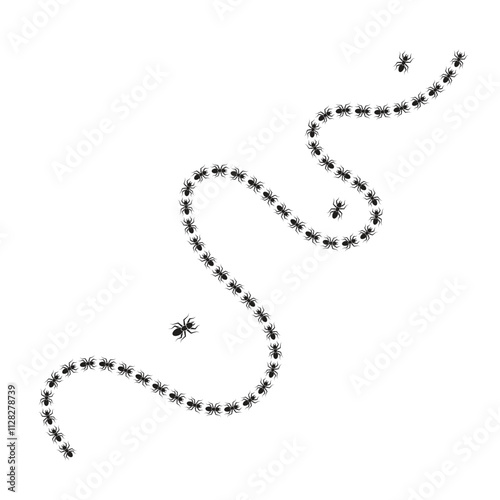 line of ants