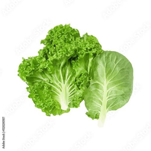 isolated watercolor fresh green vegetables