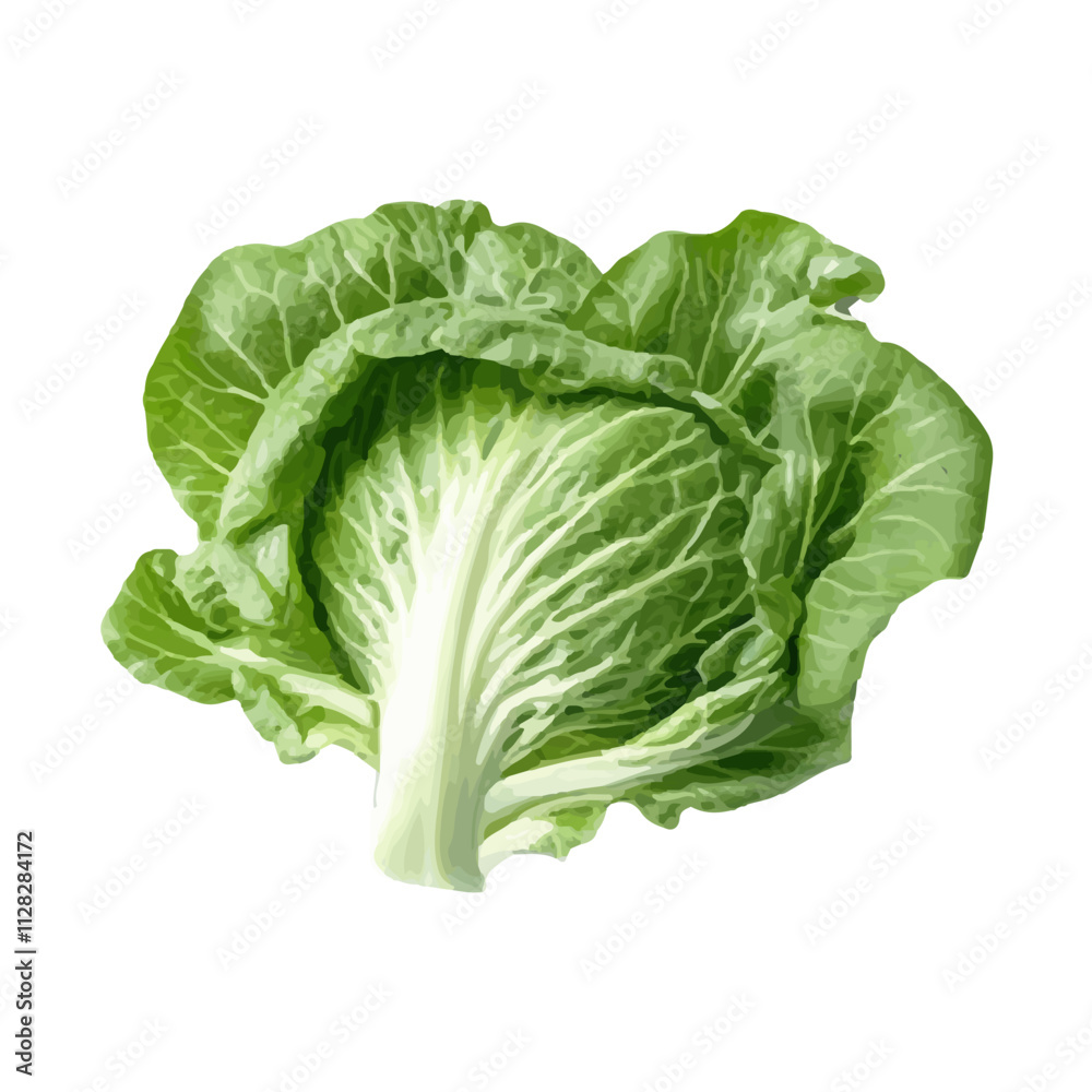 isolated watercolor fresh green vegetables isolated watercolor fresh green vegetables