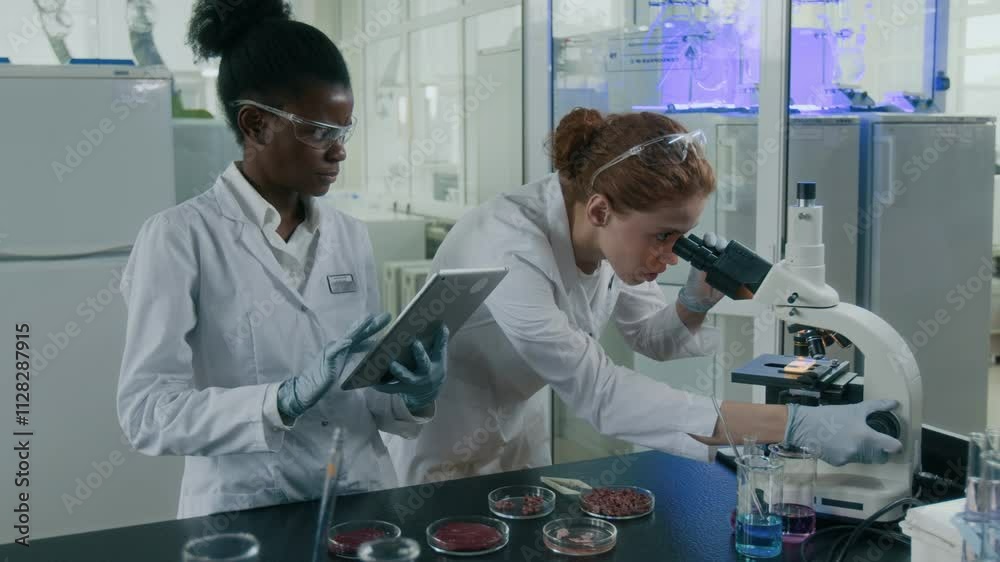 Zoom in view of Caucasian female scientist looking at piece of meat through microscope while doing food research with African American assistant taking notes on digital tablet