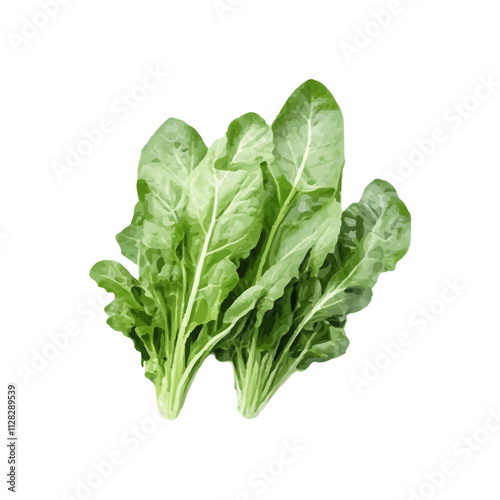 isolated fresh green vegetables realistic watercolor