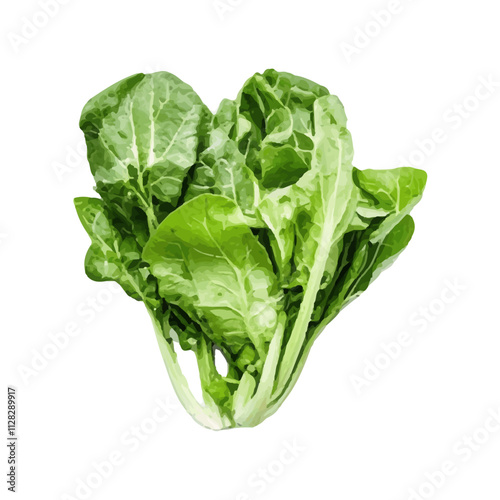 isolated fresh green vegetables realistic watercolor