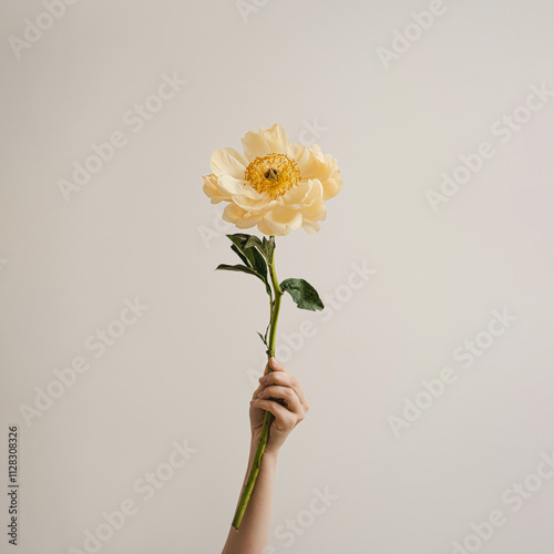 Hand Holding Yellow Flower Against Neutral Background