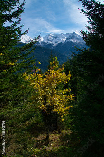 Österreich Wanderung am Schwazachtal am Zillertal/Salzburger Land