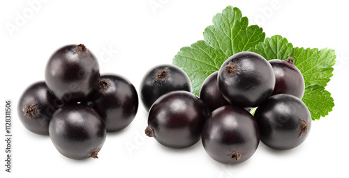 black currant with green leaf isolated on white background. clipping path