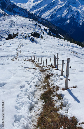 Österreich Wanderung am Plattenkogel am Zillertal/Salzburger Land