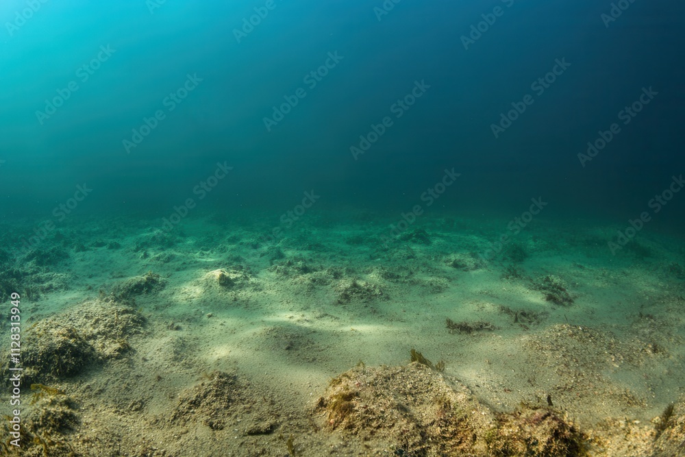 Fototapeta premium Underwater scene with sandy floor and sparse vegetation.
