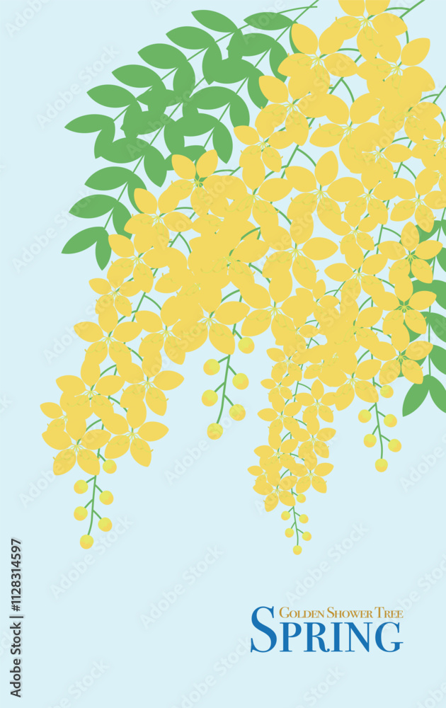 Illustration of Golden Shower Tree Flower in spring