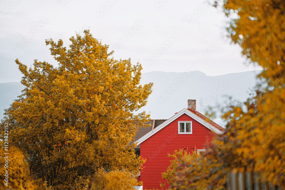 Idyllic red cabin near an autumn trees forest in Norway. Norwegian red house by scenic fjords Idyllic red cabin near an autumn trees forest in Norway. Norwegian red house by scenic fjords