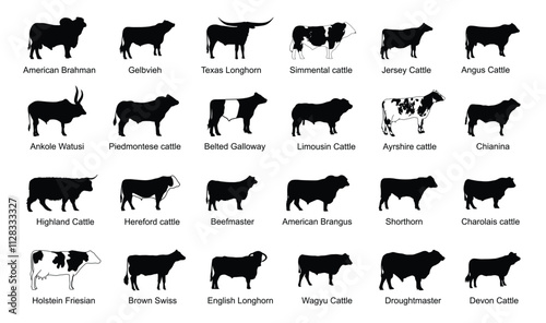 Cattle Breeds silhouette set photo