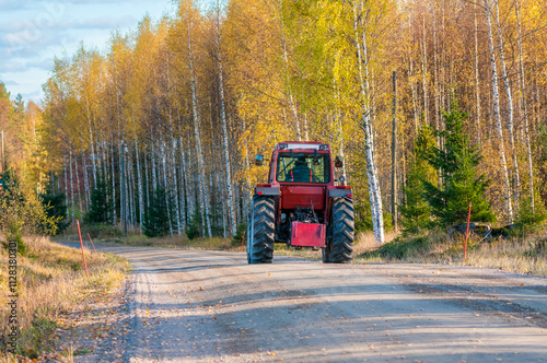 A red tractor drives along a dirt country road past a golden birch grove
