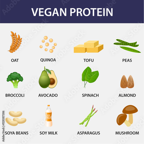 Set of protein food healthy plan. vitamins and minerals infographic elements.