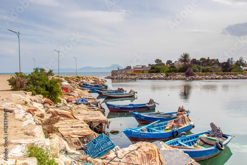 Discovering the Ancient Punic Ports of Carthage.