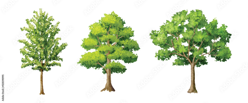 Fototapeta premium Set of green tree watercolor illustration on white background