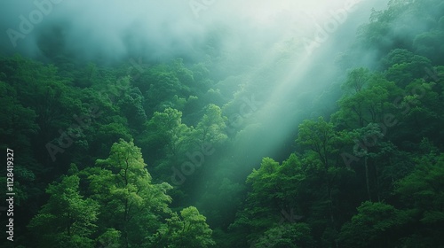 Natural scenery