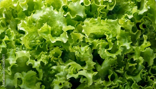 A detailed view of fresh green lettuce leaves, highlighting their crisp textures and vibrant green colors, perfect for healthy food, salad ingredients, or vegetable concepts.Texture, background 