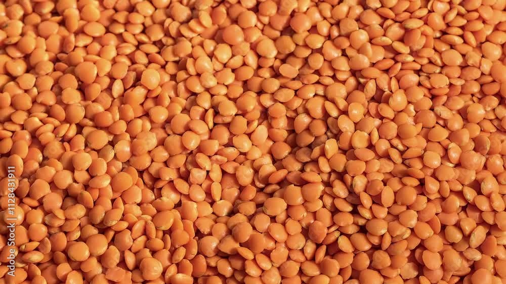 video of red lentil grains, food background video of red lentil grains, food background
