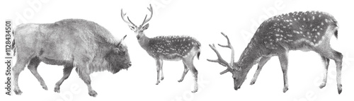 Set of retro photocopy wild animals. Deer, bison. Trendy halftone style for collages.