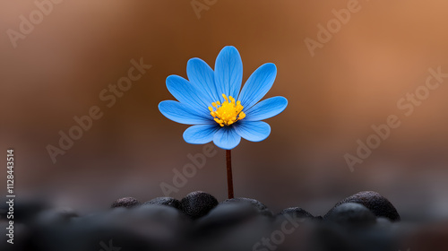 Vibrant blue flower planting hope among stones nature scene close-up view tranquil environment for serene beauty
