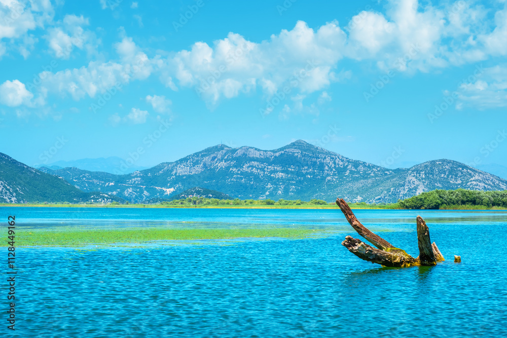 Skadar Lake waterscape. Montenegro