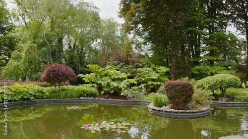 Wallpaper Mural 4K Footage of Krakow’s Botanical Garden Under Clear Blue Skies | Polish Nature, Urban Greenery, Flora Diversity, Peaceful Retreat, Scientific Collection, Lush Summer Oasis Torontodigital.ca