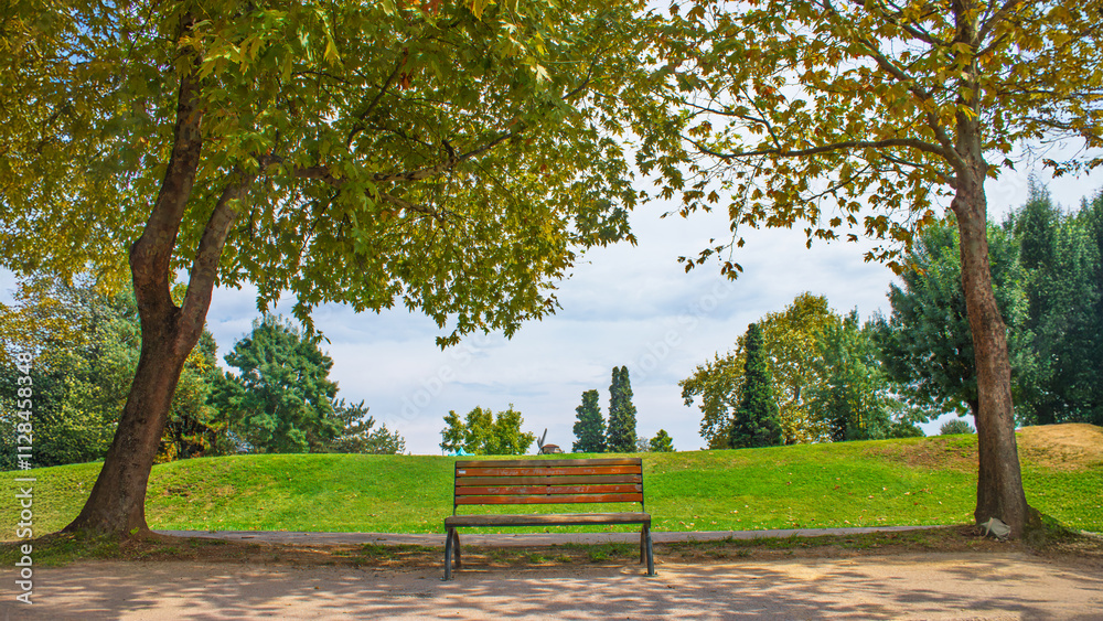 A tranquil park bench framed by lush green trees under a serene sky. A tranquil park bench framed by lush green trees under a serene sky.