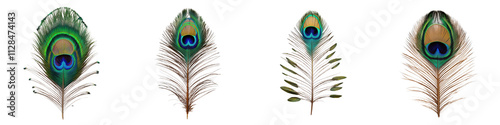 Stunning Vibrant Peacock Feathers In Various Angles And Colors   Close up Photography Of Colorful Iridescent And Intricate Plumage Textures And Patterns photo