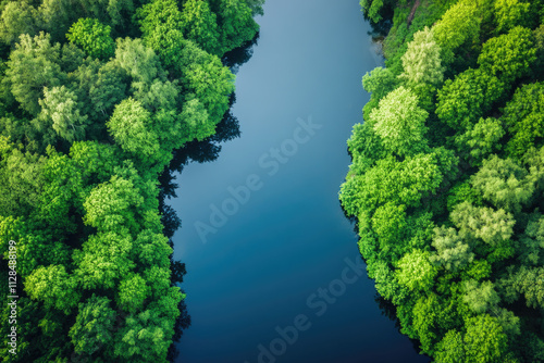 River surrounded by solid green forest, aerial view. Natural summer landscape. Lush tree crowns frame the river bed