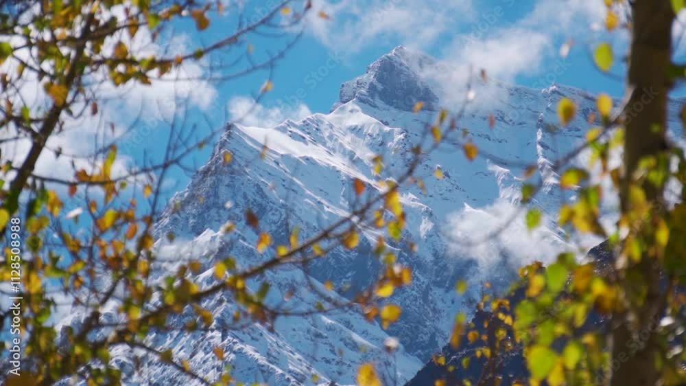 Snowy Himalayan mountain peaks during a sunny cloudy day with defocused orange leaves of the tree in front of it during the autumn season as seen from Sissu in Lahaul Valley, Himachal Pradesh, India. Snowy Himalayan mountain peaks during a sunny cloudy day with defocused orange leaves of the tree in front of it during the autumn season as seen from Sissu in Lahaul Valley, Himachal Pradesh, India.