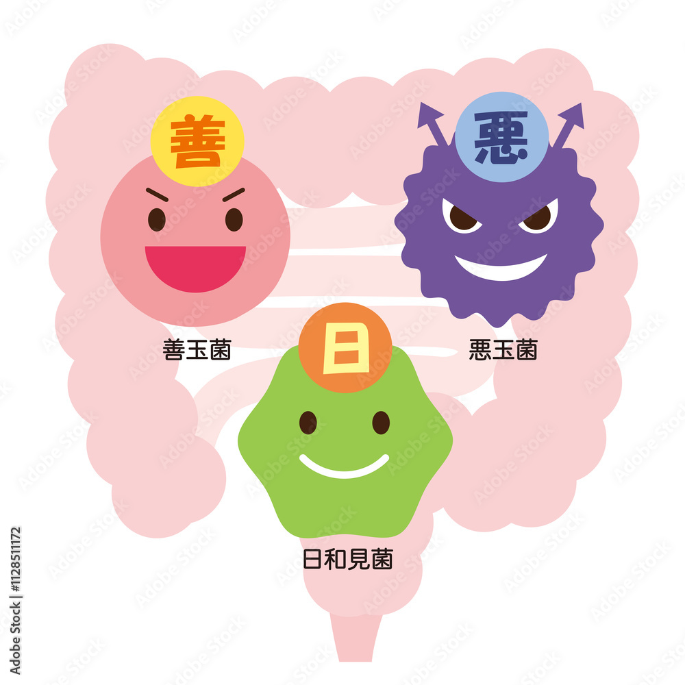 Φωτογραφία 腸内細菌　善玉菌　悪玉菌　日和見菌