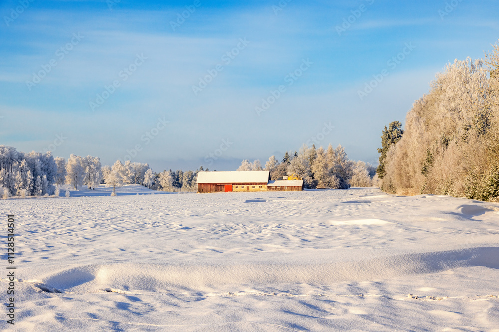 Wintry landscape view with a farmhouse on a snowy field Wintry landscape view with a farmhouse on a snowy field